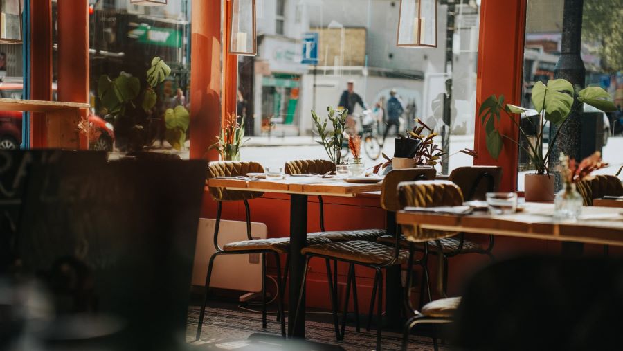 Searching for the Best Restaurants Near Me? Visit Tirak